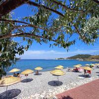 Havuz & Plaj Galerisi