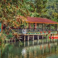 Genel Görünüm Galerisi