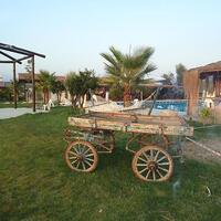 Bahçe & Oturma Alanları Galerisi