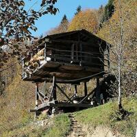 Genel Görünüm Galerisi