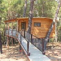 Genel Görünüm Galerisi