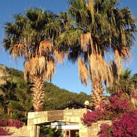 Genel Görünüm Galerisi