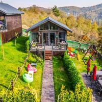 Genel Görünüm Galerisi