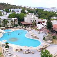 Genel Görünüm Galerisi