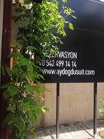 Toplantı ve Organizasyon Galerisi