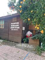 Toplantı ve Organizasyon Galerisi