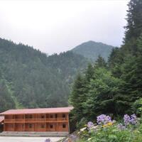 Genel Görünüm Galerisi