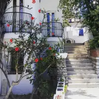 Genel Görünüm Galerisi