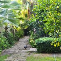 Bahçe & Oturma Alanları Galerisi