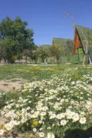 Genel Görünüm Galerisi