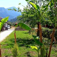 Bahçe & Oturma Alanları Galerisi