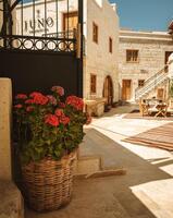 Bahçe & Oturma Alanları Galerisi