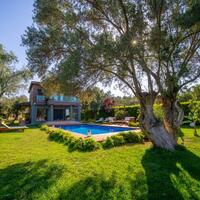 Genel Görünüm Galerisi