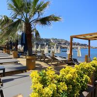 Havuz & Plaj Galerisi