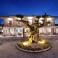 Genel Görünüm Galerisi