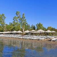 Havuz & Plaj Galerisi