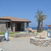 Genel Görünüm Galerisi