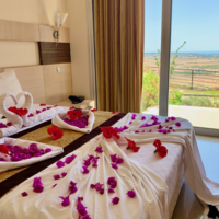 Oda Özellikleri Galerisi