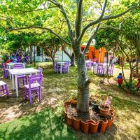 Bahçe & Oturma Alanları Galerisi