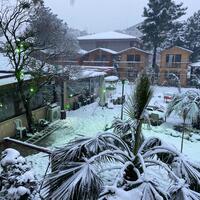 Genel Görünüm Galerisi