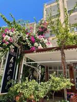 Genel Görünüm Galerisi