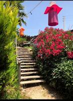 Bahçe & Oturma Alanları Galerisi