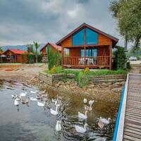 Genel Görünüm Galerisi