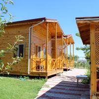 Genel Görünüm Galerisi