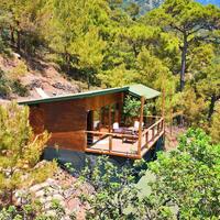 Genel Görünüm Galerisi