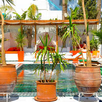 Havuz & Plaj Galerisi