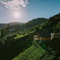 Genel Görünüm Galerisi