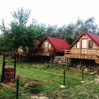 Genel Görünüm Galerisi