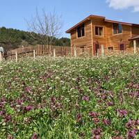 Genel Görünüm Galerisi