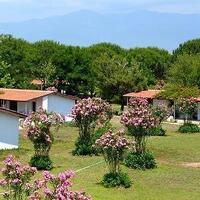 Genel Görünüm Galerisi