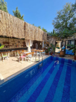 Havuz & Plaj Galerisi