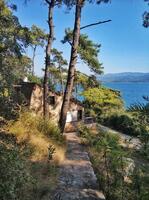 Genel Görünüm Galerisi