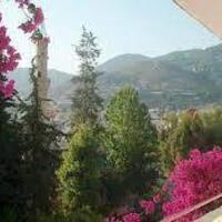 Genel Görünüm Galerisi