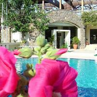 Genel Görünüm Galerisi