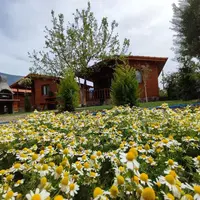 Genel Görünüm Galerisi