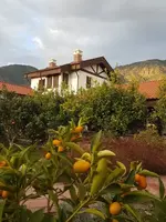 Genel Görünüm Galerisi