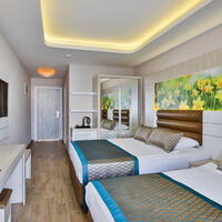 Oda Özellikleri Galerisi