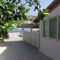 Genel Görünüm Galerisi