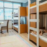 Oda Özellikleri Galerisi