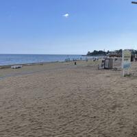 Toplantı ve Organizasyon Galerisi