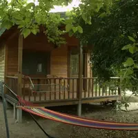 Genel Görünüm Galerisi