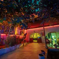 Bahçe & Oturma Alanları Galerisi