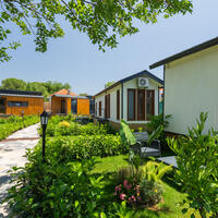 Genel Görünüm Galerisi