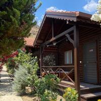 Genel Görünüm Galerisi