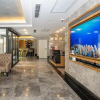 Lobi & Oturma Alanları Galerisi