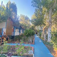 Genel Görünüm Galerisi